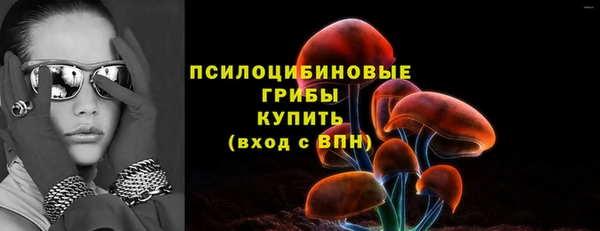 стаф Белоозёрский