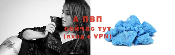 стаф Белоозёрский