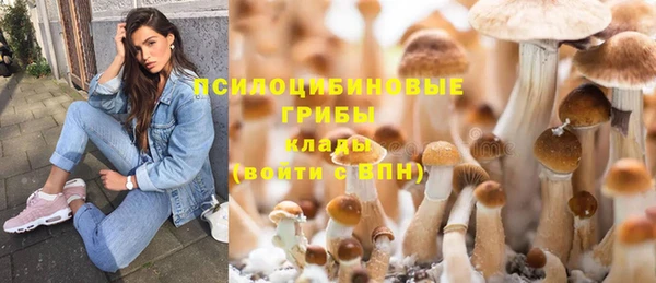 стаф Белоозёрский