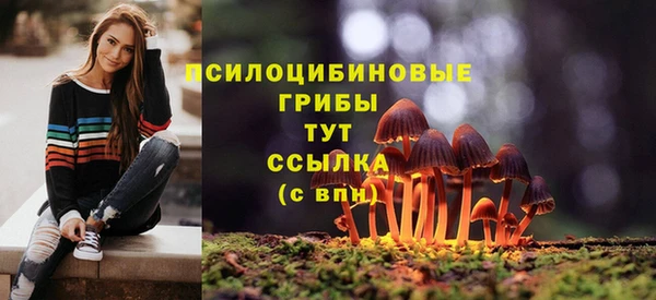 мескалин Белокуриха