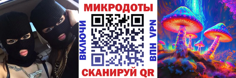 Псилоцибиновые грибы GOLDEN TEACHER  Шилка 